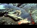 Geology of Kilauea Volcano