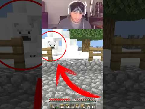 Diseño Casa de Oso 🚧 #shorts