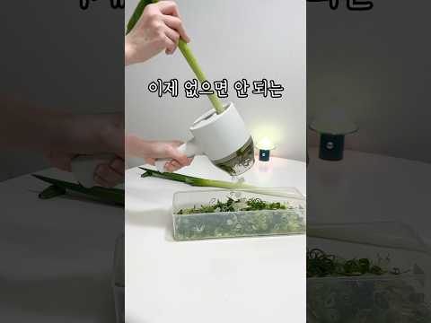 이제 없으면 안되는 쿠팡템 2가지!