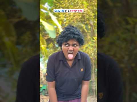 Daily life of a street dog 🐕 #shorts @RipaandDipa