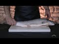 Muusikavideo Küsitlus