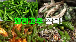 꽈리고추에 양념을 잘 배이게 하는 건강한 반찬 레시피 3가지.