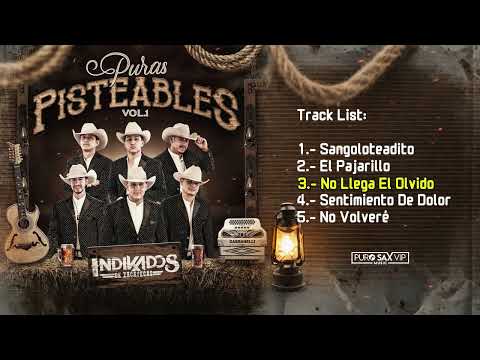 Indikados de Zacatecas - Puras Pisteables Vol. 1 "En Vivo" (CD Completo) 2025