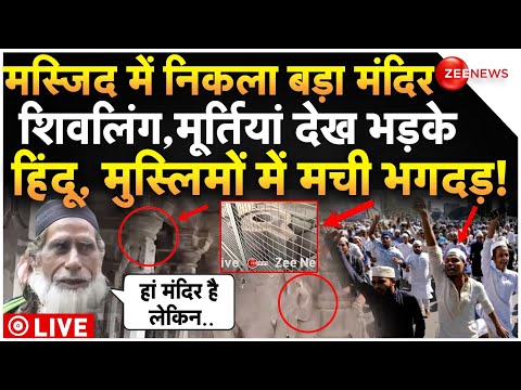 Vidisha Bija Mandal Mandir Masjid Controversy LIVE : मस्जिद में निकला बड़ा मंदिर, भड़के हिंदू!