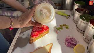 CHEESE MAYO SANDWICH | INDIAN STREET FOOD | @ Rs. 160/-