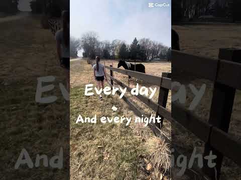 C💖o💖n💖t💖r💖y💖 #horse #youareoneofakind #horseenthusiast #stopanimalabuse