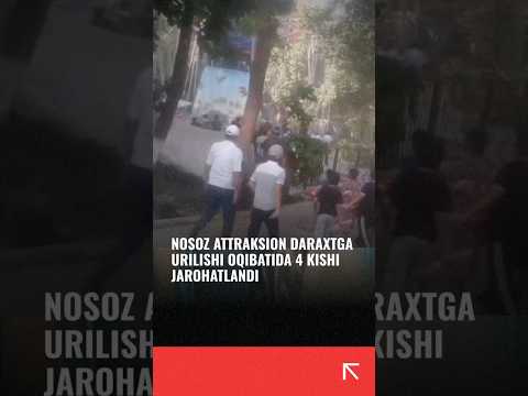 Namangandagi parkda attraksion daraxt shoxiga urildi