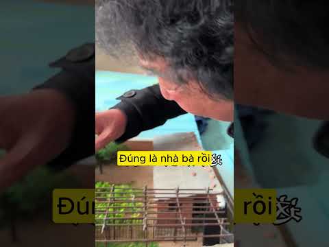 Tặng bà mô hình ngôi nhà năm xưa mà xao xuyến quá