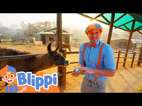 Having a Blast at the Petting Zoo | Blippi Animal Videos For Kids | Toddler Learning Cartoons