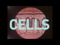 DNA Damage and UV Light Effects