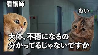 【猫ミーム】病院にくる台風と不穏祭りの病棟#vtuber  #医師解説 #ゲーム実況 catvtuber #vtuber #保護猫 #病院 