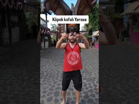 bir Türk Balide meyve yarasası ile böyle oynadı #yarasa #bali