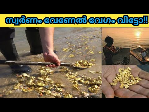 ഇന്ത്യയിലെ സ്വർണം ഒഴുകി നടക്കുന്ന  നദി /streak of gold India/ Gold in India /Breaking news/malayalam