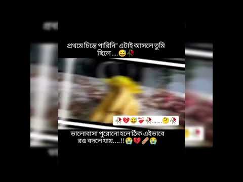 🦎প্ৰথমে চিন্তে পাৱিনি এটাই আসলে তুমি ছিলে😅🥀ভালোবাসা পুৱোনো হলে..💔😭#broken#sadsongstatus#funny#shorts
