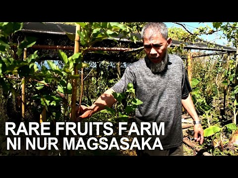 RARE FRUITS FARM NI NUR MAGSASAKA I LIBMANAN, CAMARINES SUR