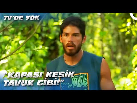 ANIL'DAN GÖKHAN'A TEPKİ! | Survivor All Star 2022 - 39. Bölüm