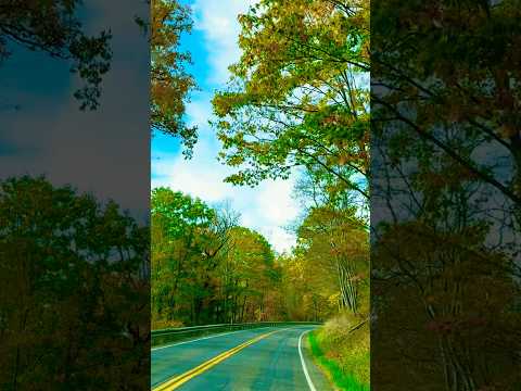 Next, stopped at the Pine Creek #travel #mountain #autumn #colorfulleaves #park #autumnleaveas