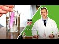 Lipase and Milk Decay Experiment