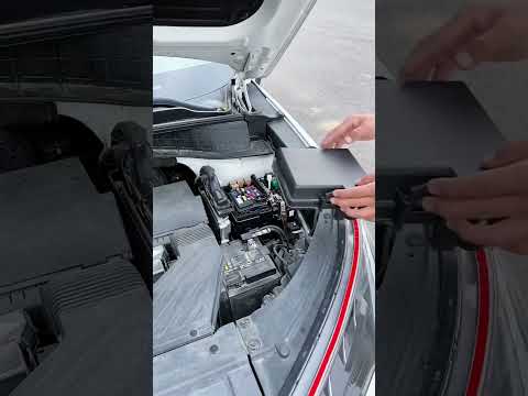 The hood is equipped with a through-day running light strip, which can be scanned when starting at