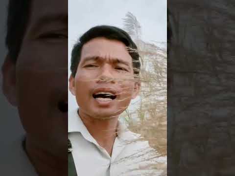 #asiancapital #flowers