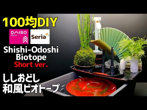 【100均DIY】ししおどし【和風ビオトープ】の作り方《Short Ver.》 /メダカ/日本庭園/Shishi-Odoshi/Japanese garden pond/Biotope