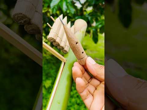 Bamboo Creations wow ! #diy #bamboo #shorts
