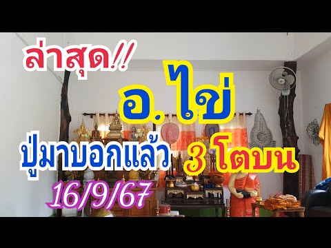 ปู่มาบอกแล้ว!!3โตบนอ.ไข่ล่าสุด16ก.ย.67