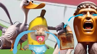 BRAINROT: BANANA CAT 🍌🐱 MEME & BRAINROT 🍯🧂🦆🐭 61 - 64