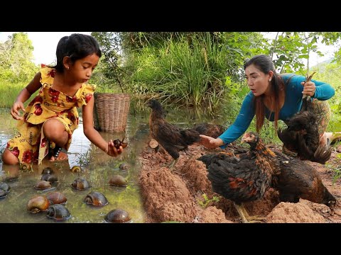 Top more survival in forest- Catch chicken & Pick a lot snail for food- Cooking chicken soup +3 food