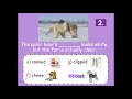 Vocabulary Review for Second Grade Dogs Lesson