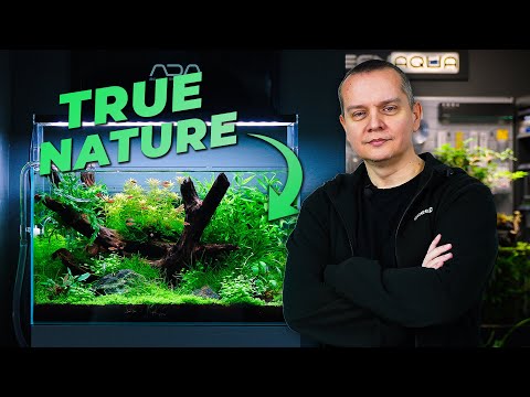 How to build TRUE Nature-Style Aquariums