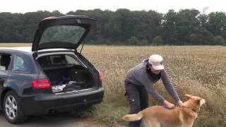 COACHME Grundlagen für den Hundealltag