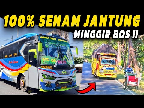 AKSI TERAKHIR SI RAJA JALANAN ‼️ ADU BANTENG VS TRUCK 🔥 Trip Report Naik Bus SUGENG RAHAYU Ngeblong