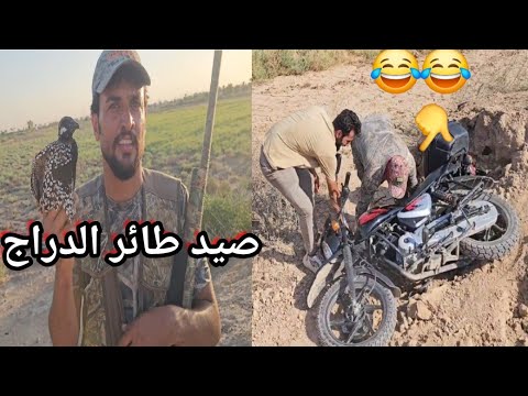 بدايه موسم صيد طائر الدراج فيديو ممتع 🥰🥰