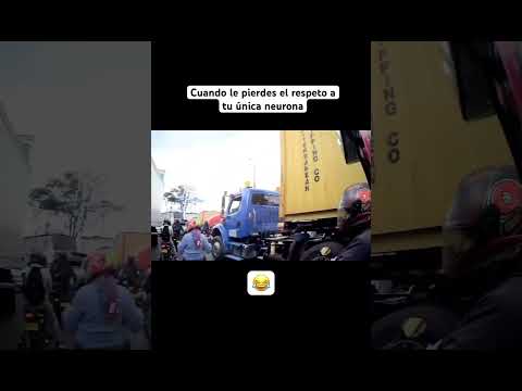 Le perdió el respeto a su única neurona 😂