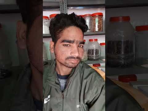 अब्दुल्ला पठान के पास आया 1 बन्दा दबाई लेने फिर अब्दुल्ला भाई क्या बोले देखो