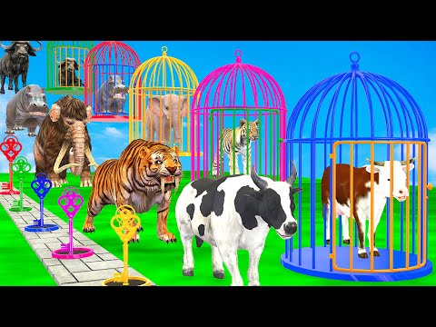 Choose The Right Animal Key With Elephant Cow Tiger Hippo Buffalo Escape Room Challenge Long Slide