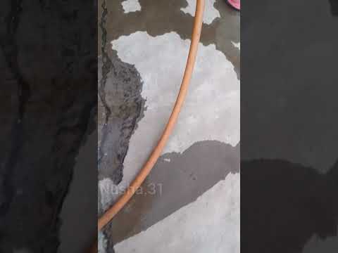 What did you notice #funny #satisfying #shorts #viralvideo #trending