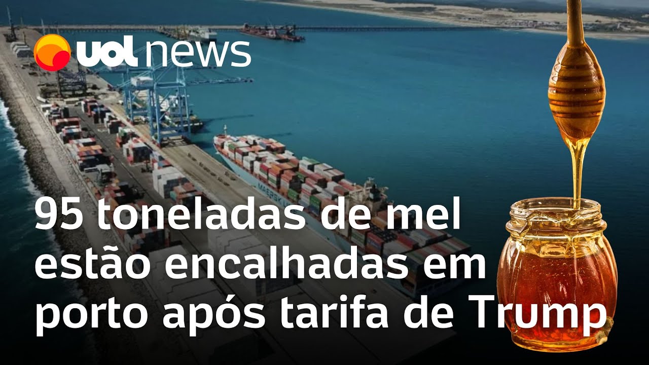 Taxação de Trump deixa 95 toneladas de mel encalhadas em porto no Ceará afirma Casa Apis