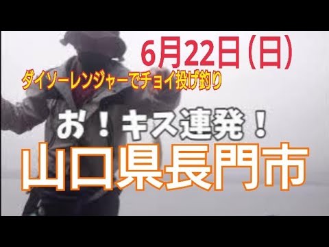 【チョイ投げ釣り】山口県長門市でキス狙い