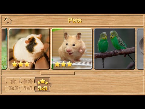 JIGSAW PUZZLES FOR KIDS (ENGLISH) ANIMAL PUZZLES FOR CHILDREN (ANIMALS VIDEO, PETS)