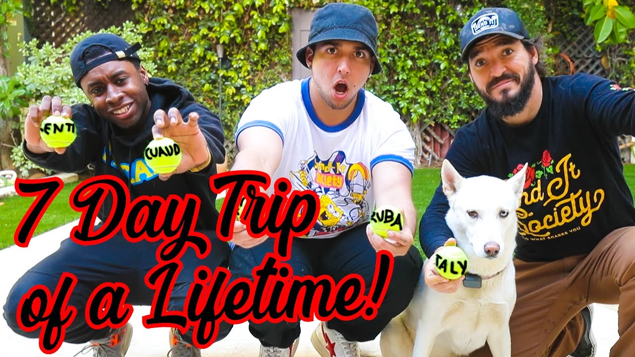 DOG decides what country we fly to! (7 Days in Africa)