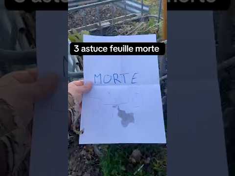 Les feuilles 🍁 #potager #agriculture #permaculture #naturelovers #garden