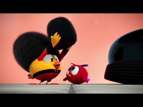 On your toes! | Where's Chicky? | Cartoon Collection in English for Kids | New episodes