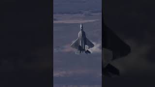 F-22 Raptor - Tail Slide #shorts