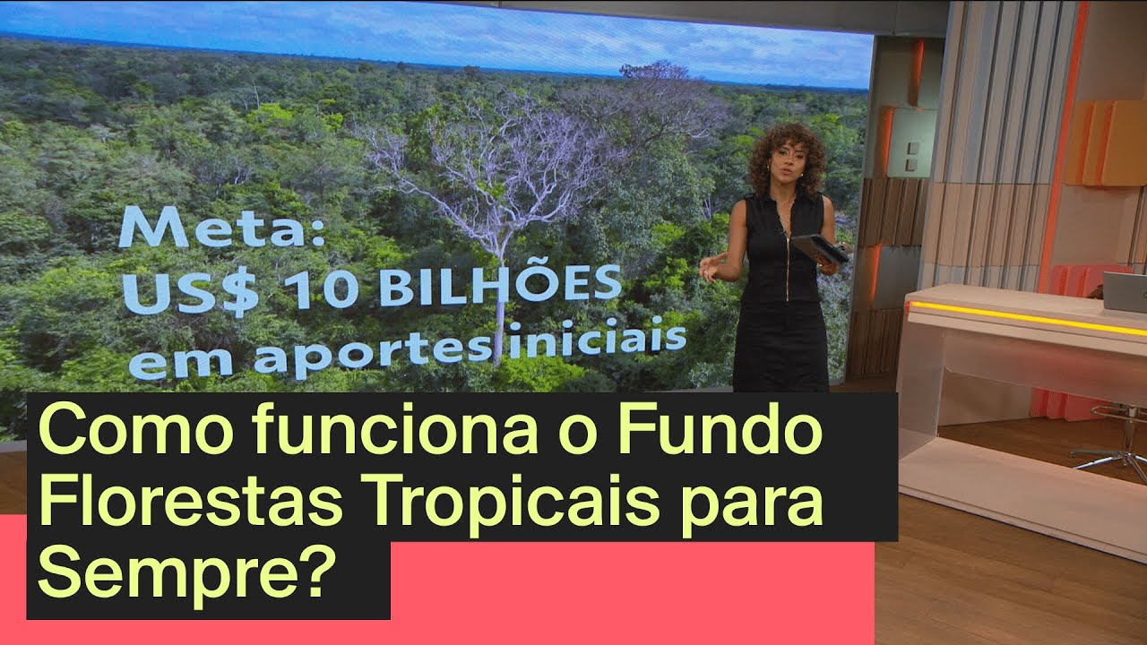 Como funciona o Fundo Florestas Tropicais para Sempre TV Online Como funciona o Fundo Florestas Tropicais para Sempre