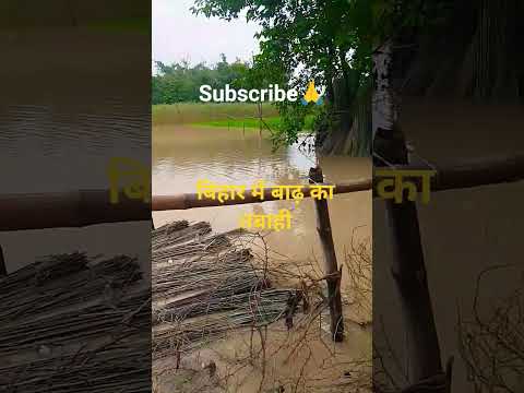 बिहार में बाढ़ का तबाही #viral #nepal #nature #shortvideos #trending #funny #viralvideo #viralvideo