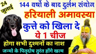 24 जुलाई हरियाली अमावस्या के दिन कुत्ते को चुपचाप खिला दे ये 1 चीज गरीबी होगी खत्म | premanand ji