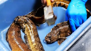 動画サムネイル