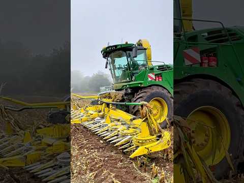 John Deere 9900i Forage Harvester on Maize for a Dairy